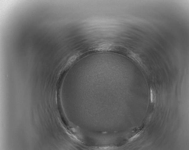 X0000059040205200510211943