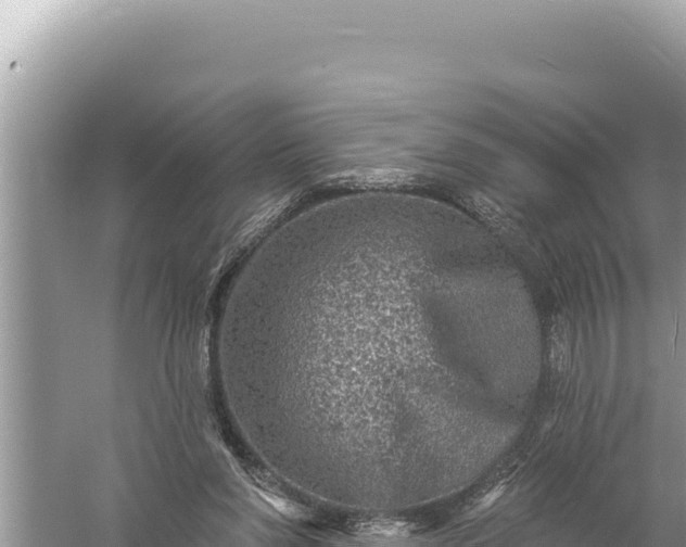 X0000059040206200510211942