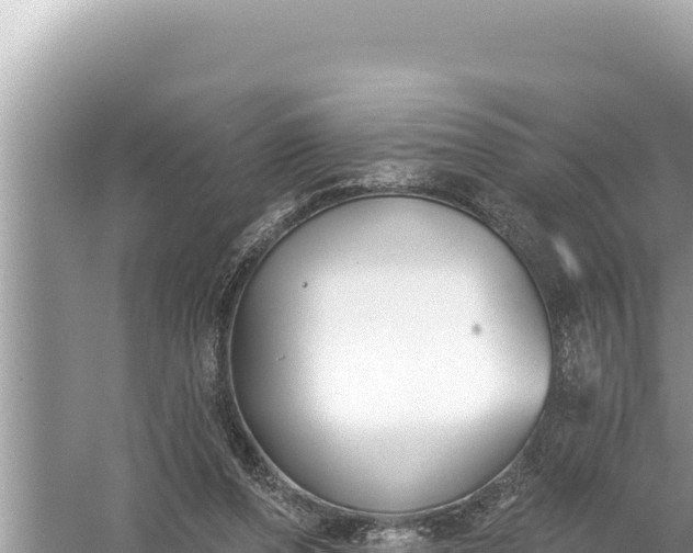 X0000059040208200510211942