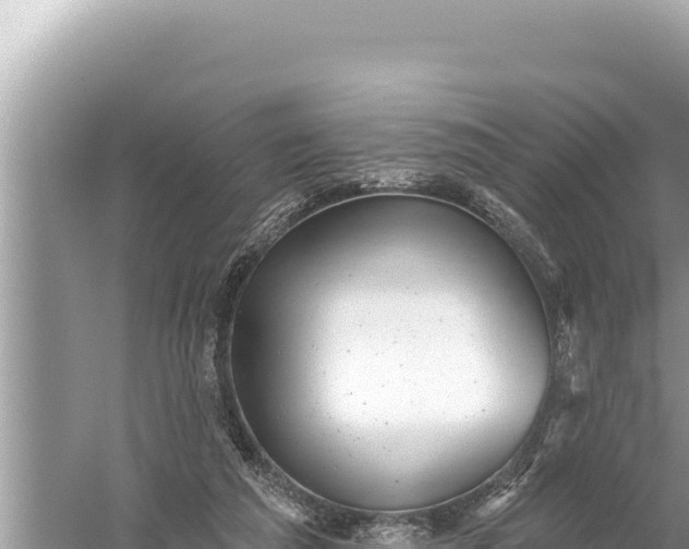 X0000059040209200510211942