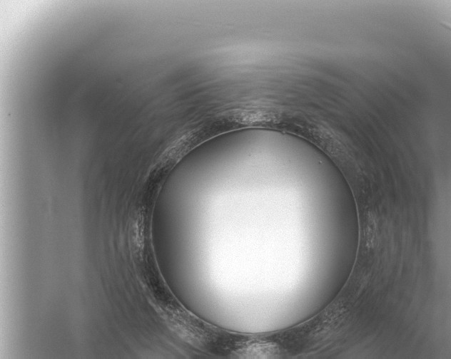 X0000059040210200510211942