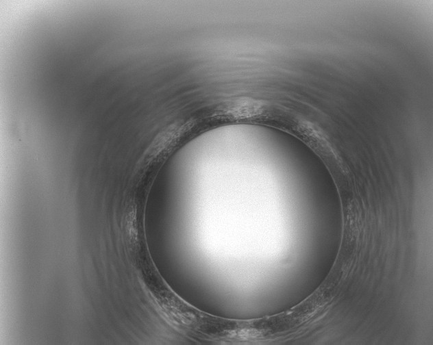 X0000059040212200510211942