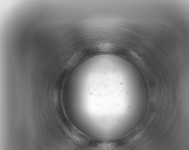 X0000059040213200510211942