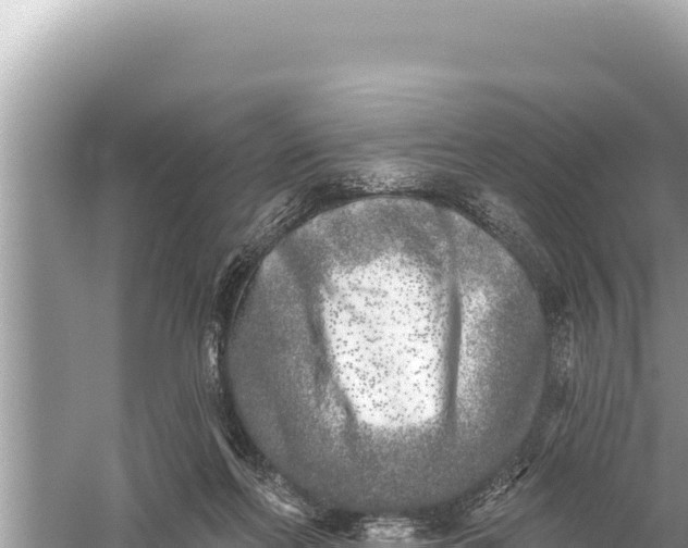 X0000059040214200510211942