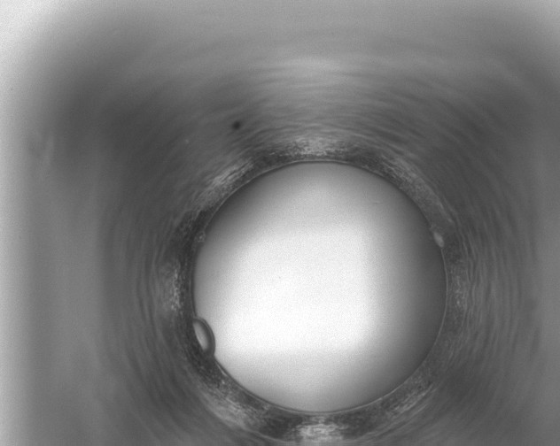 X0000059040216200510211942