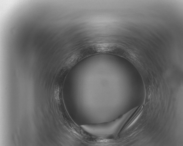 X0000059040219200510211942