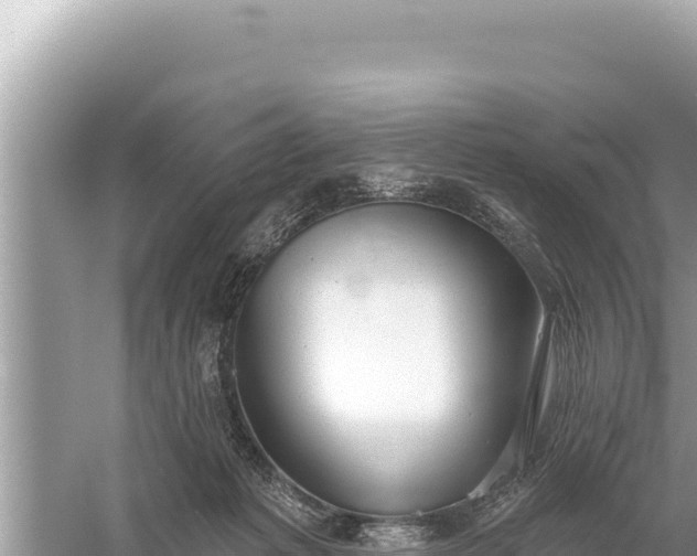 X0000059040221200510211942