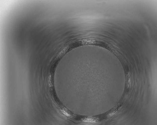 X0000059040224200510211942