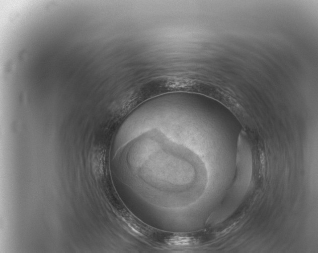 X0000059040227200510211942