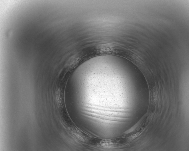 X0000059040228200510211942