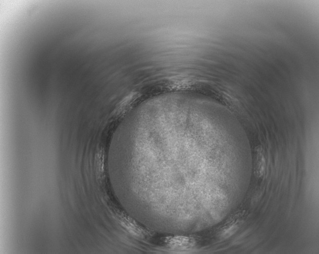 X0000059040230200510211942