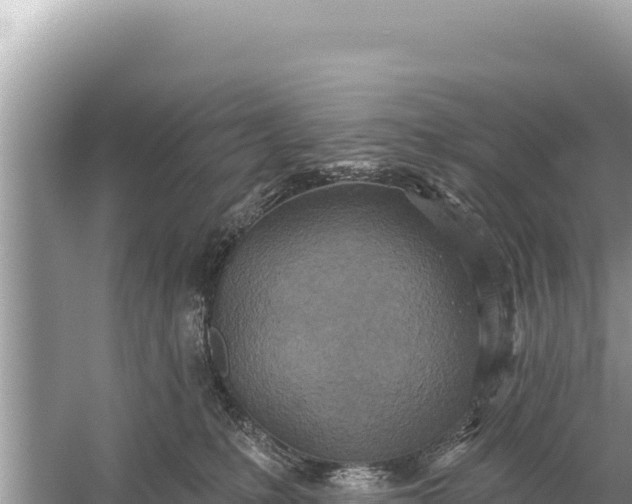 X0000059040231200510211942