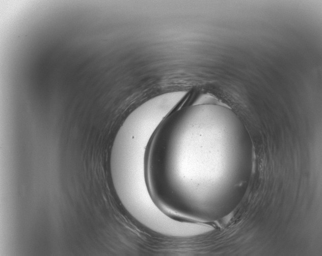 X0000059040233200510211942