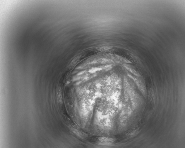 X0000059040234200510211942