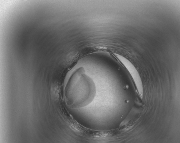 X0000059040235200510211942