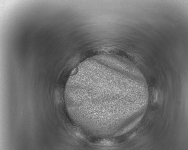 X0000059040236200510211942