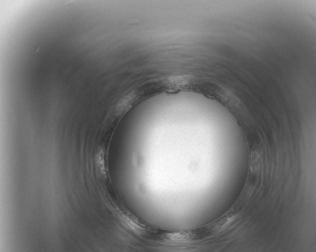 X0000059040238200510211942