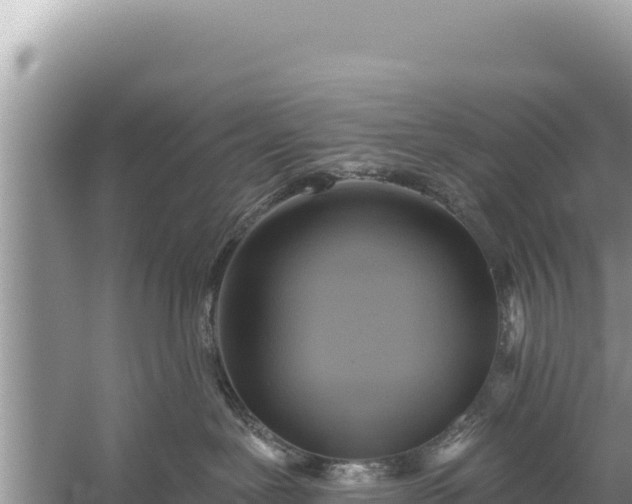 X0000059040239200510211942