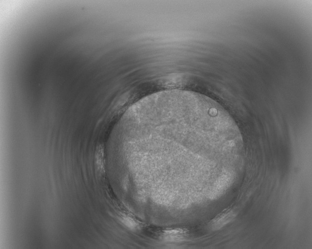 X0000059040240200510211942