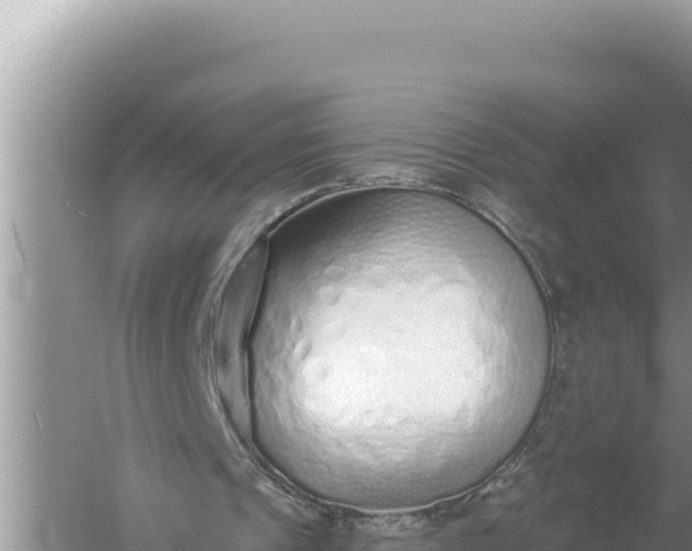 X0000059040241200510211941