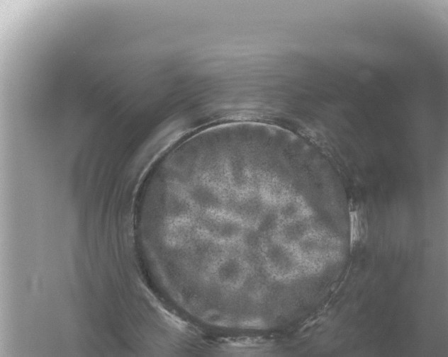 X0000059040243200510211941