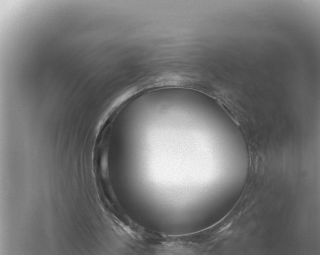 X0000059040244200510211941