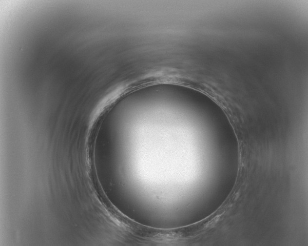 X0000059040245200510211941