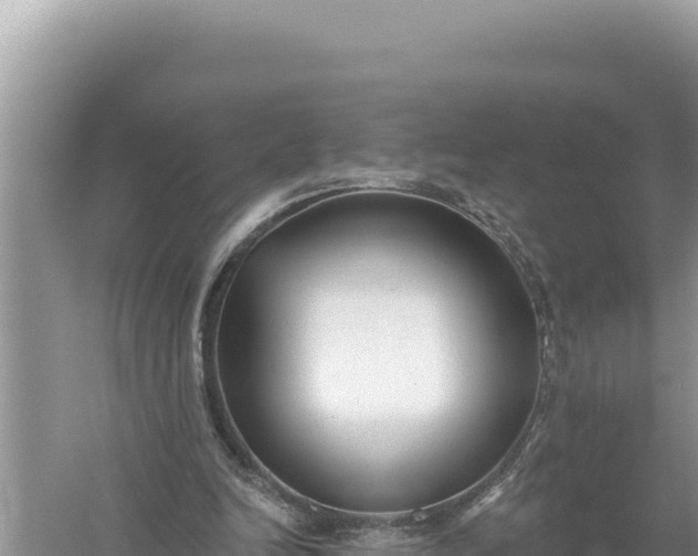 X0000059040246200510211941