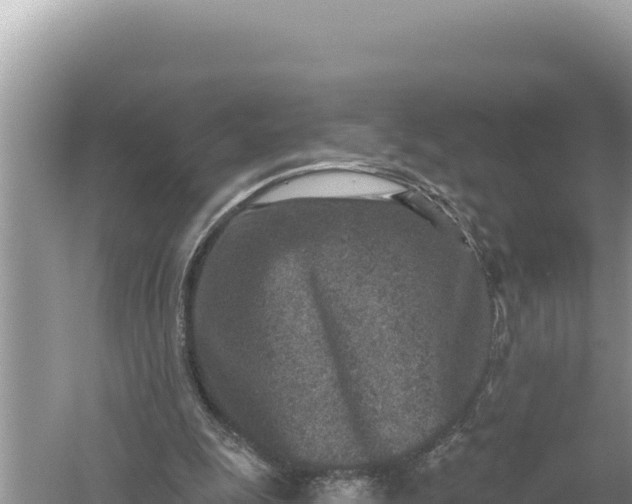 X0000059040247200510211941