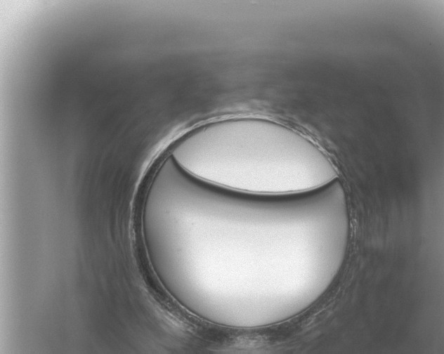 X0000059040248200510211941