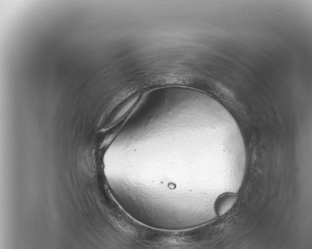 X0000059040250200510211941