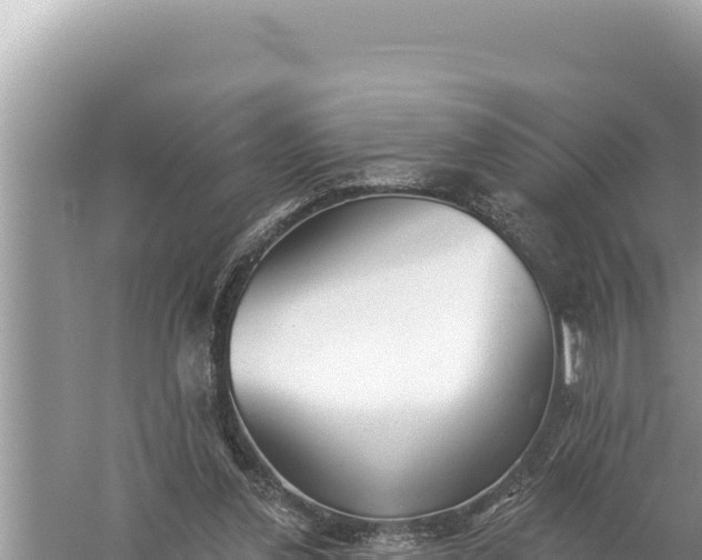 X0000059040252200510211941