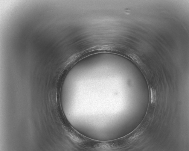 X0000059040253200510211941