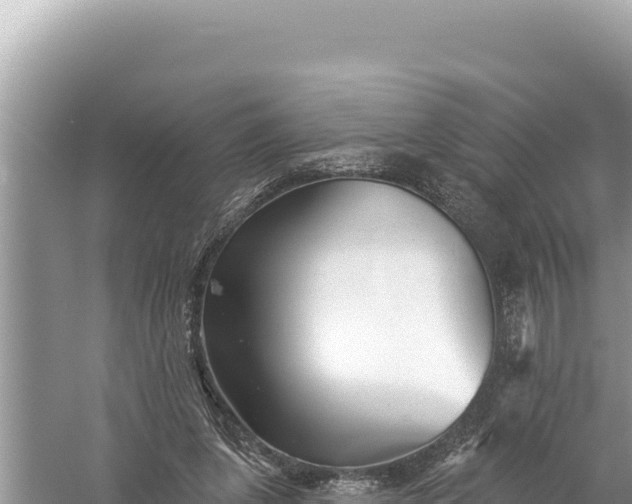 X0000059040255200510211941