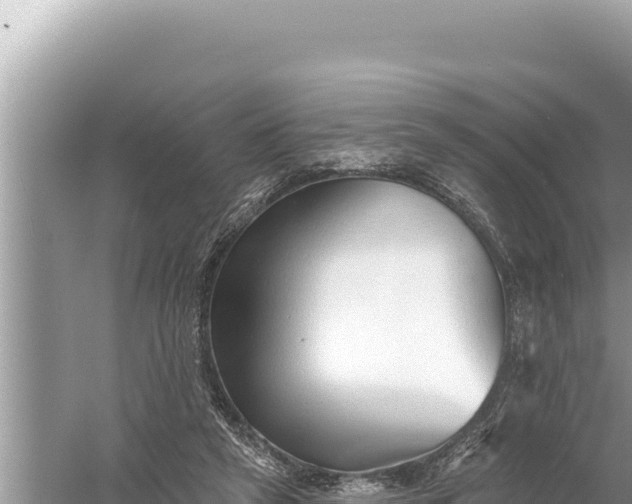 X0000059040257200510211941