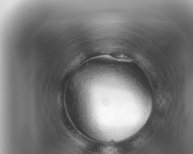 X0000059040258200510211941