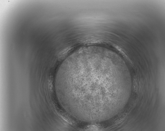 X0000059040259200510211941