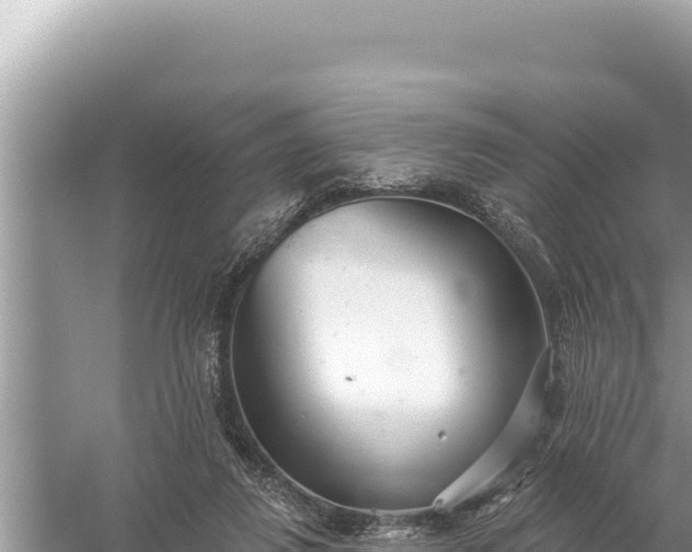 X0000059040260200510211941