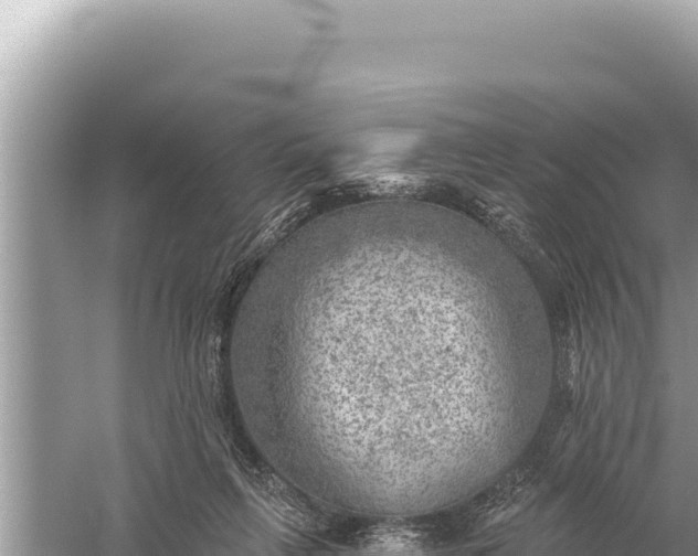 X0000059040263200510211941