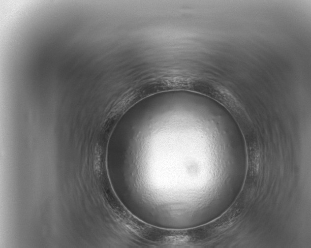 X0000059040266200510211942