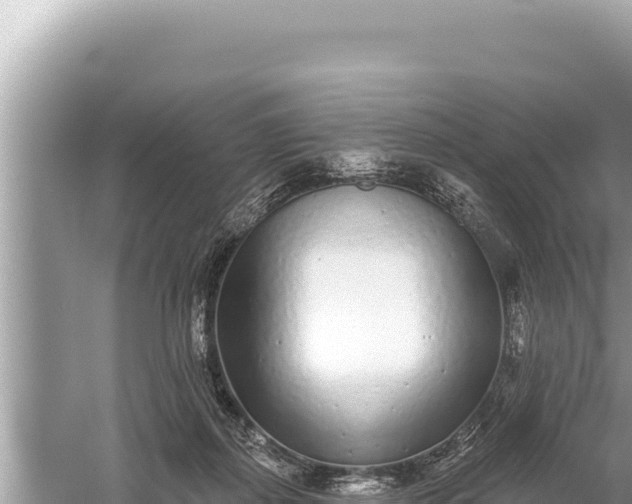 X0000059040267200510211942