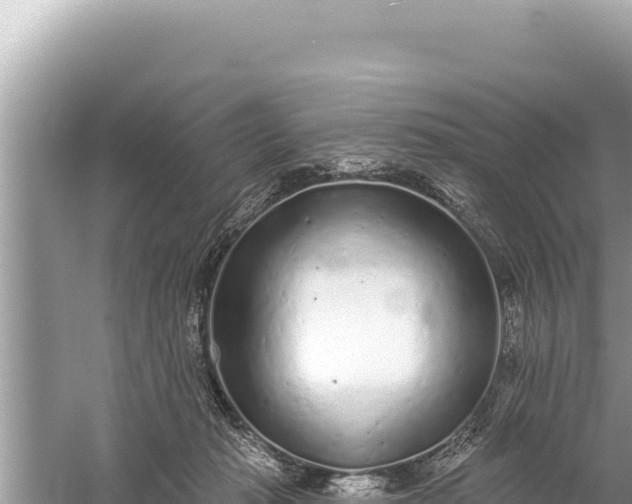 X0000059040269200510211942