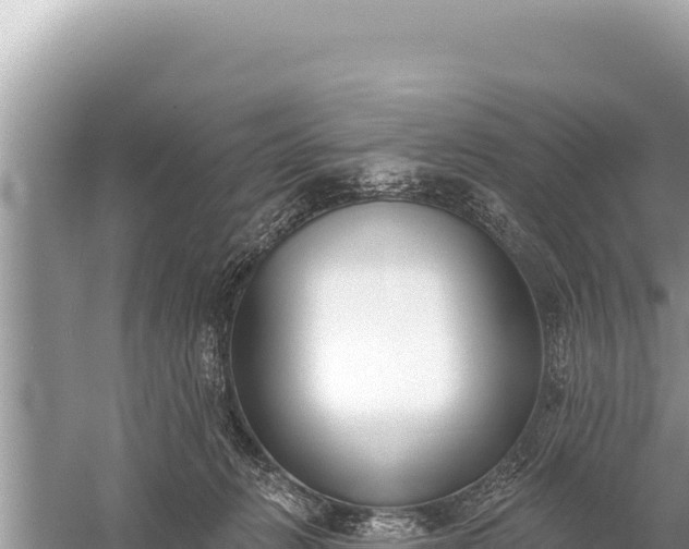 X0000059040270200510211942