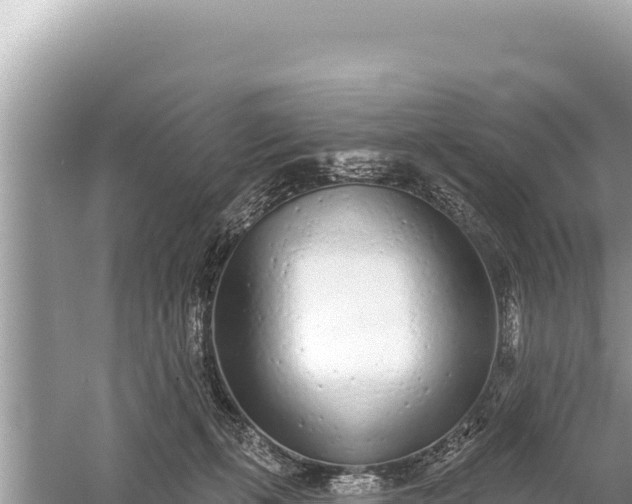 X0000059040271200510211942