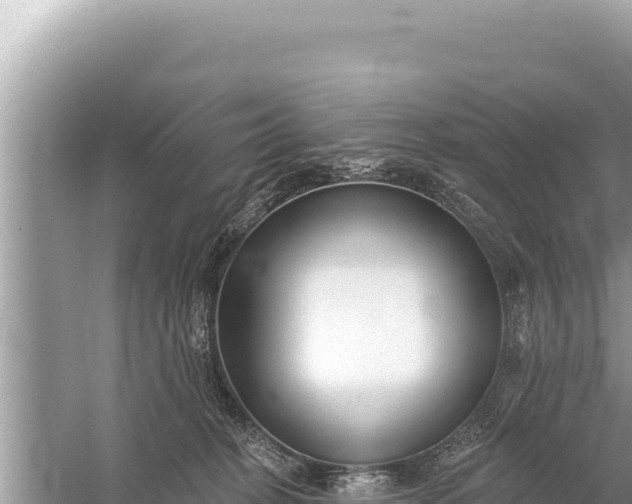 X0000059040274200510211942