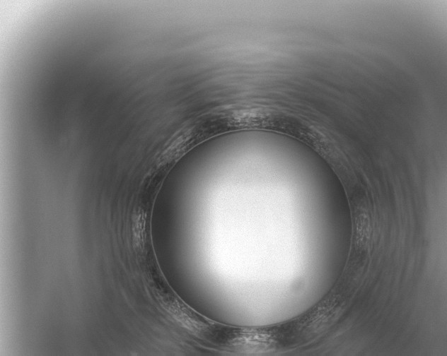 X0000059040278200510211942