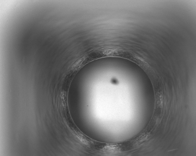 X0000059040280200510211942