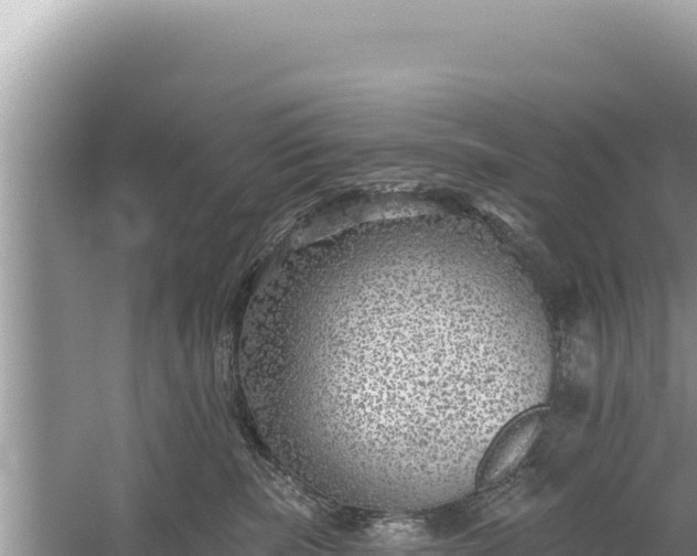 X0000059040283200510211942