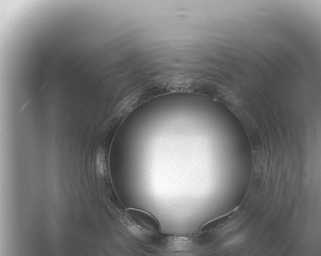 X0000059040287200510211942