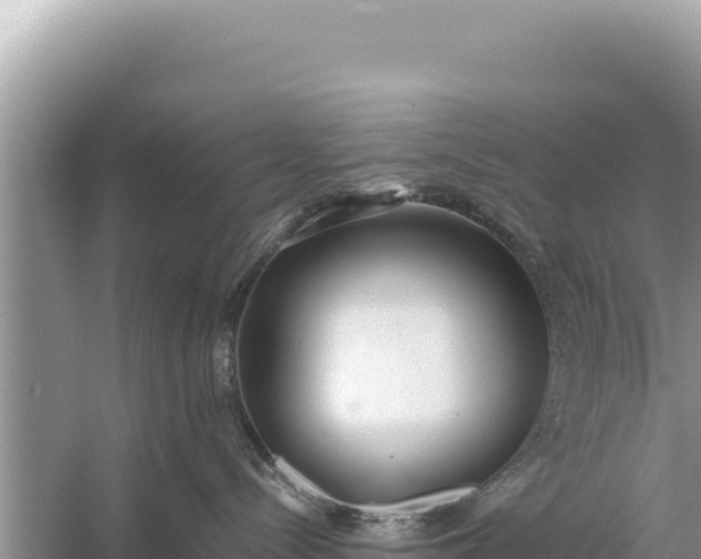 X0000059040288200510211942